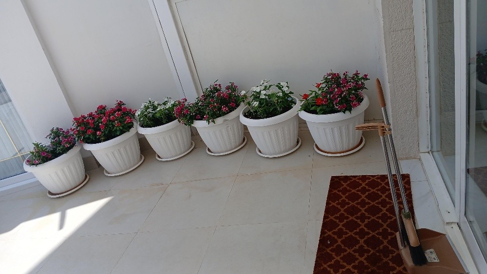 احواض زرع - 1