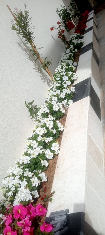 مهندس زراعي - 6