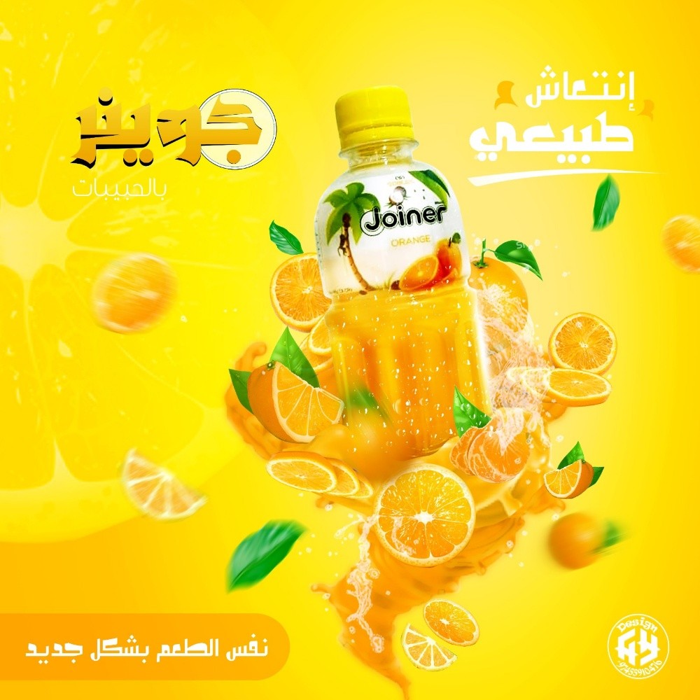 حسام الدين حسن - 4