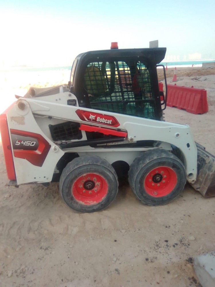 bobcat Available for Rent - 2