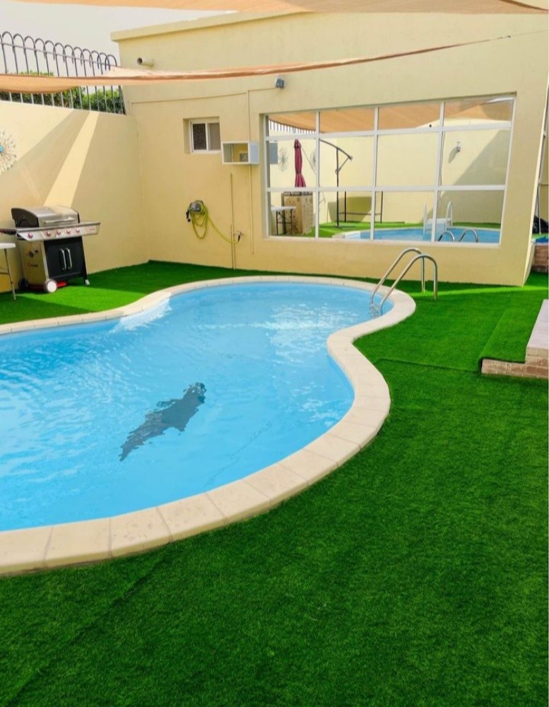 Grass carpet - 4