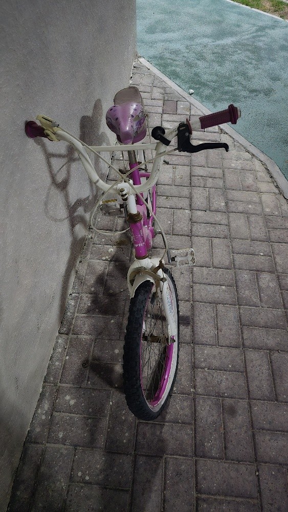 girls bicycle - 2