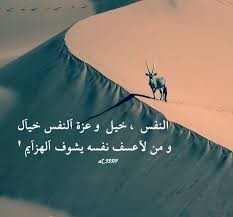 كاتب قصايد واشعار - 1