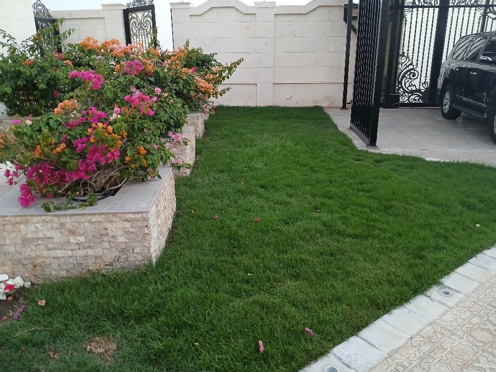 منسق حدائق منزليه - 2