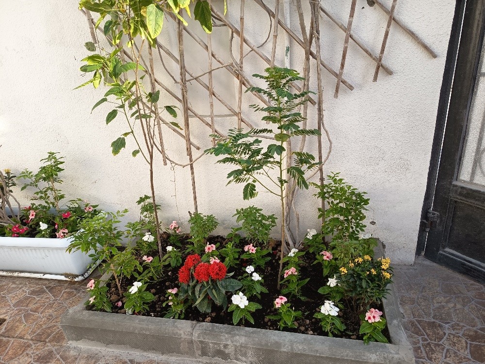 مهندس زراعي - 4