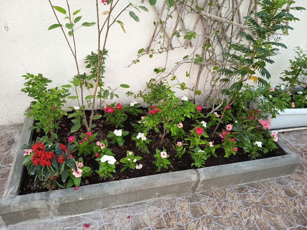 مهندس زراعي - 3