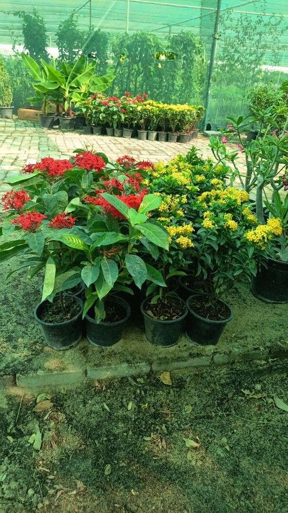 مهندس زراعي - 3