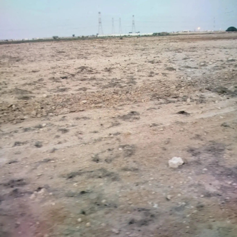 مزرعه موجوده في روضه راشد - 2