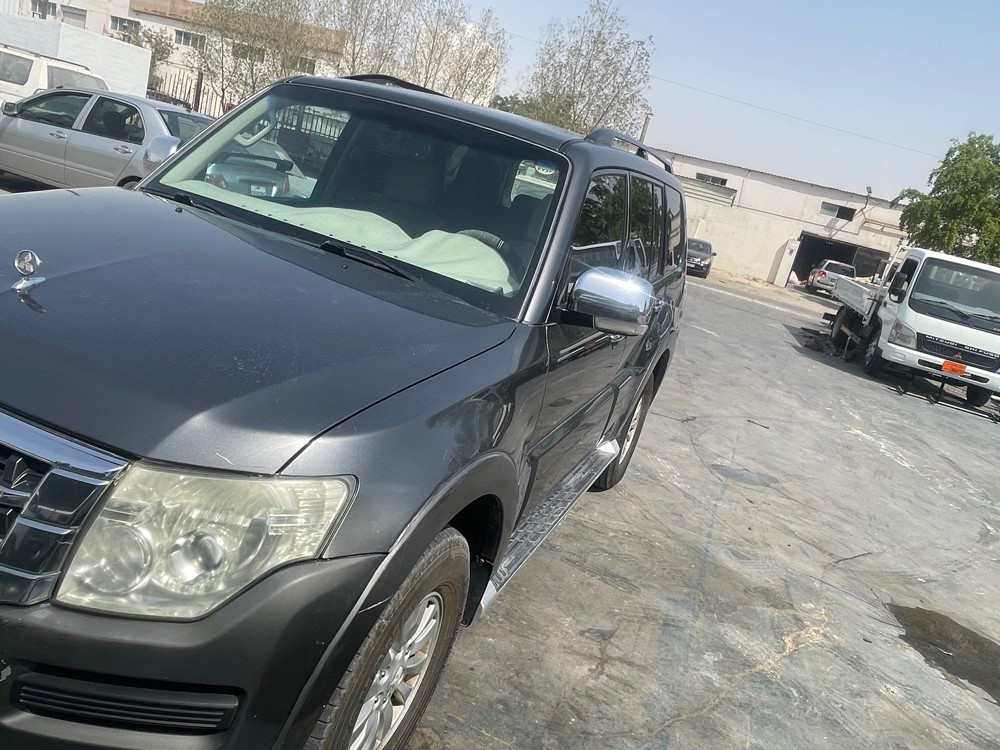باجيروا - 4