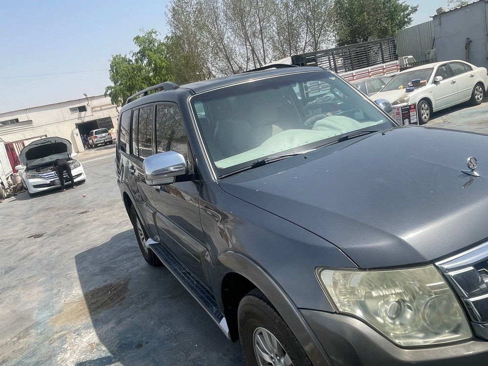 باجيروا - 3