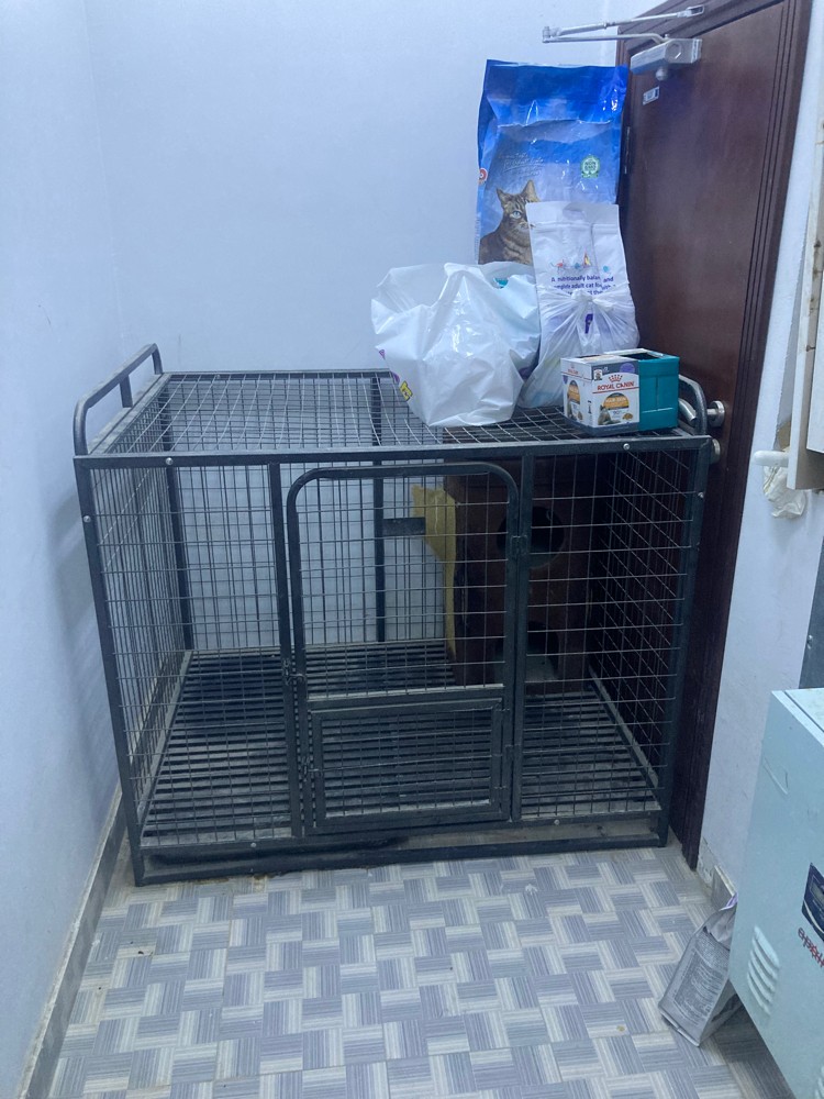 cat cage - 2