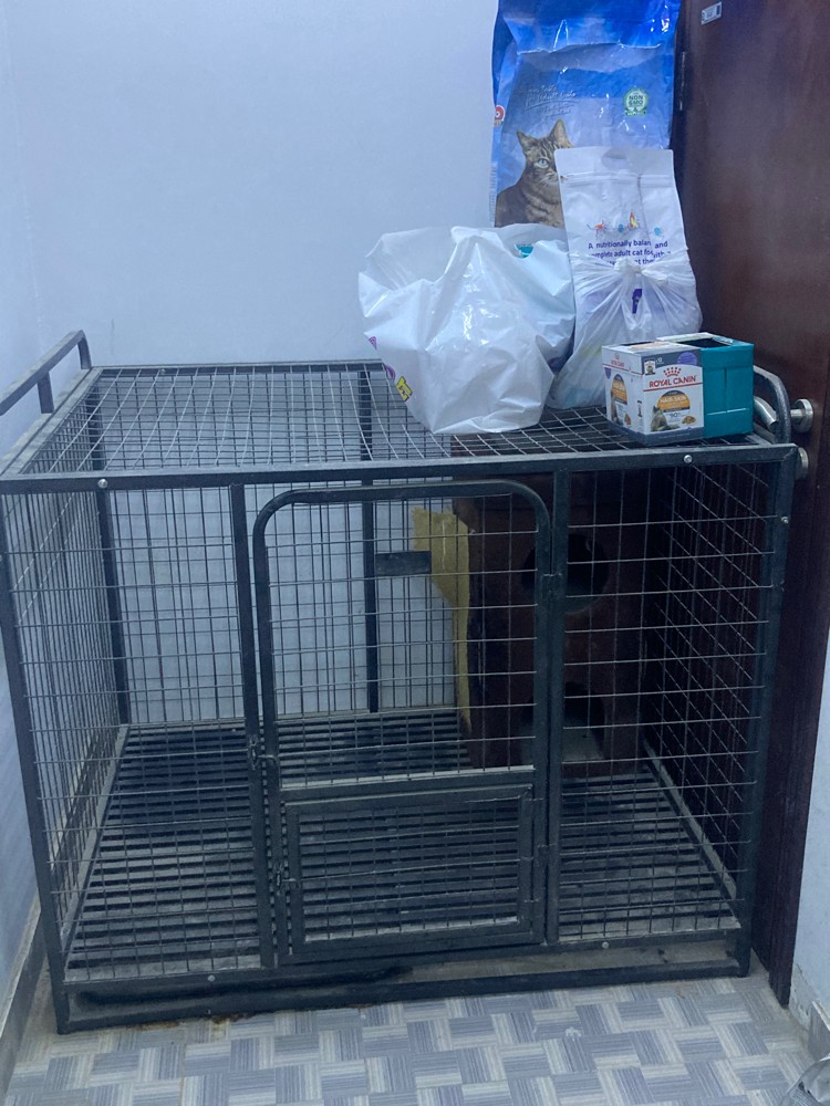 cat cage - 1