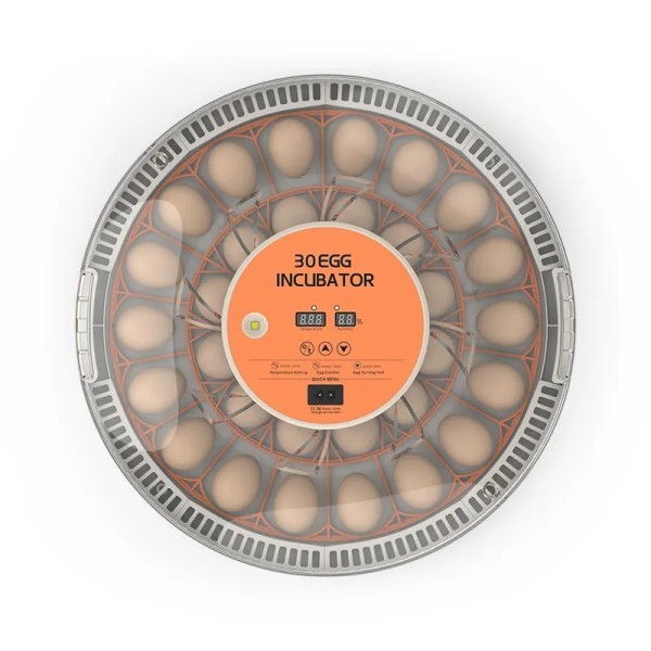 Egg incubator 30H egg Auto New - 3
