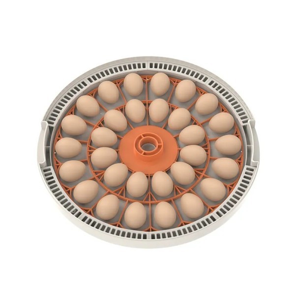 Egg incubator 30H egg Auto New - 1