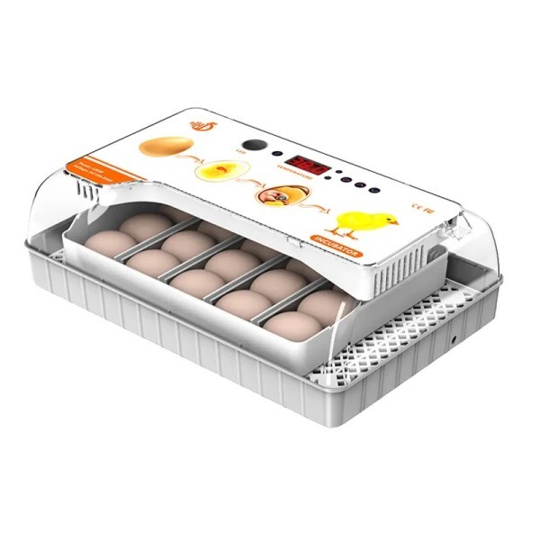 Egg incubator 20 egg Auto New - 3