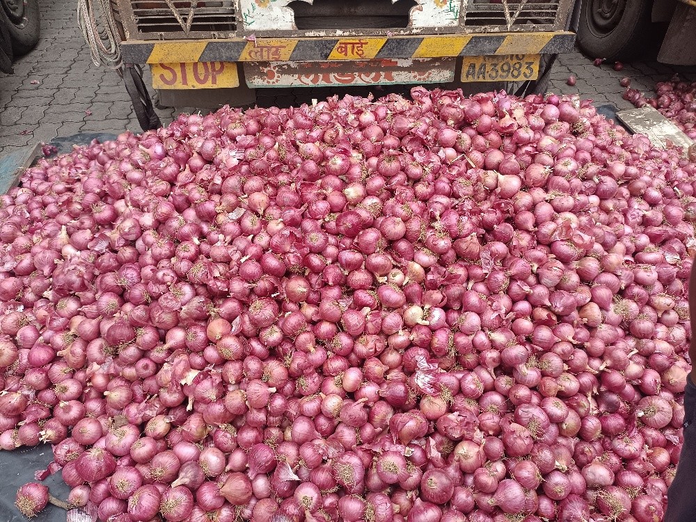 ONION - 6