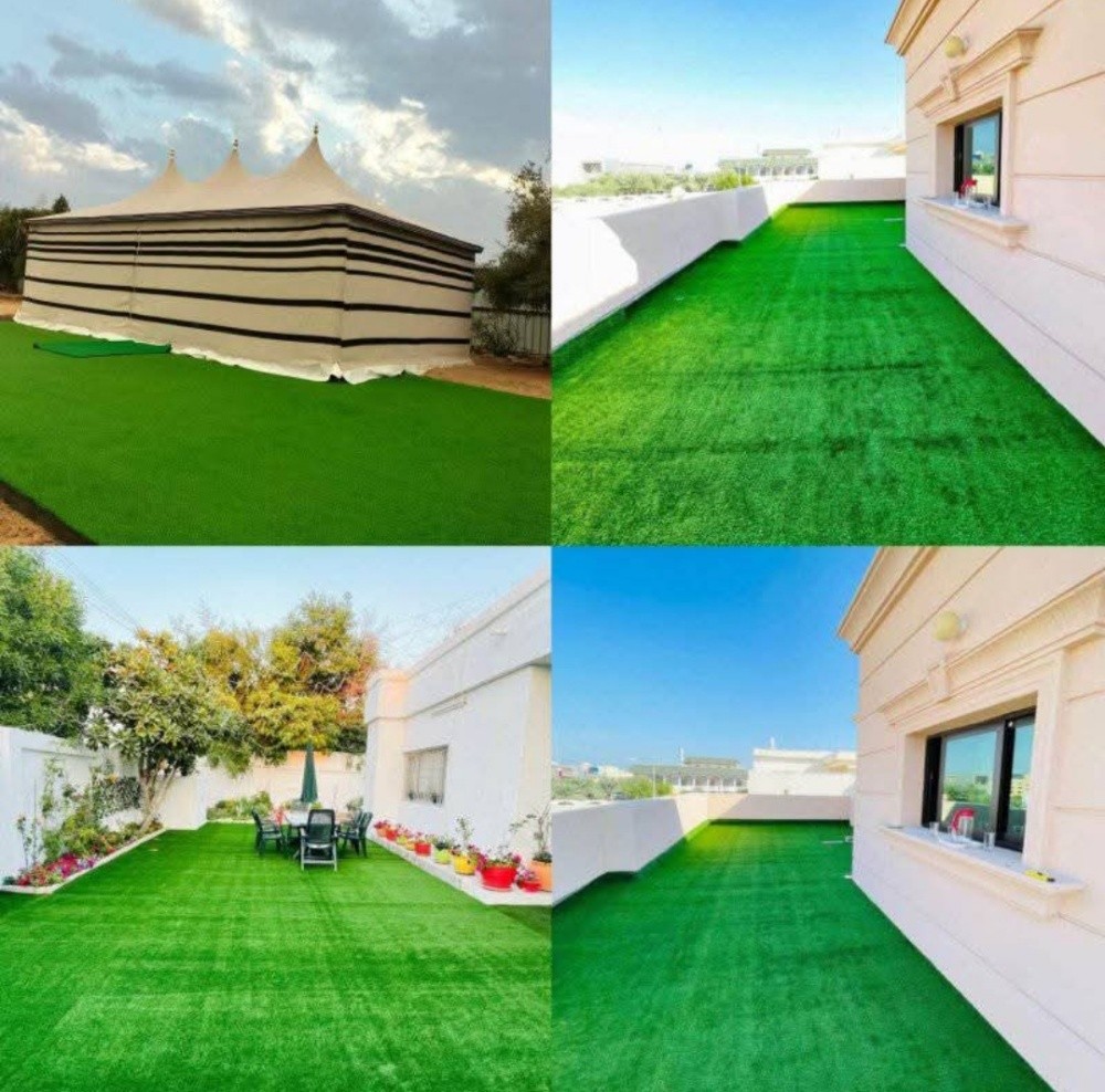 Carpet & cartain - 1