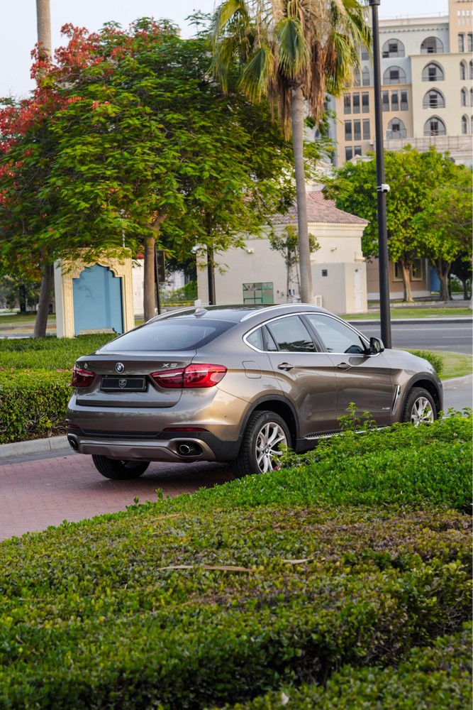 bmw x6 2017 - 10