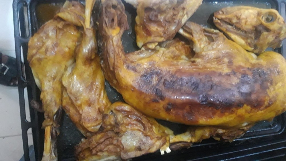 طباخ متوفر - 10