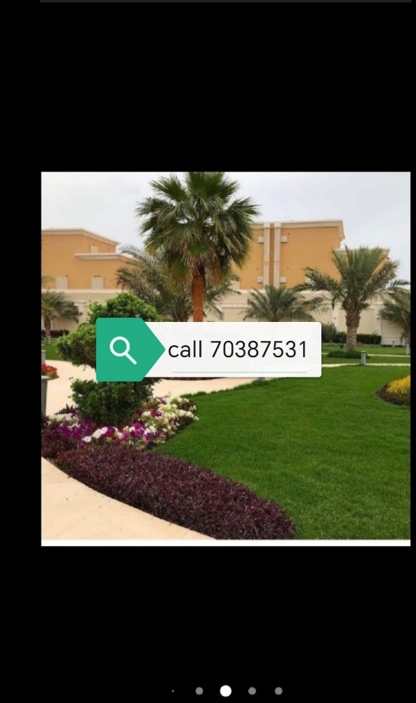 Garden new landscape - 8