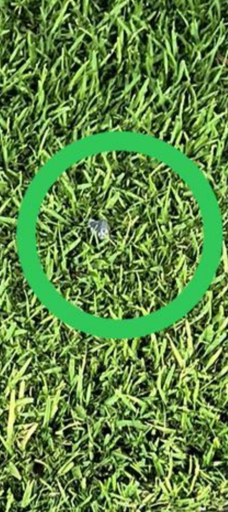 Crys and hash green available - 2