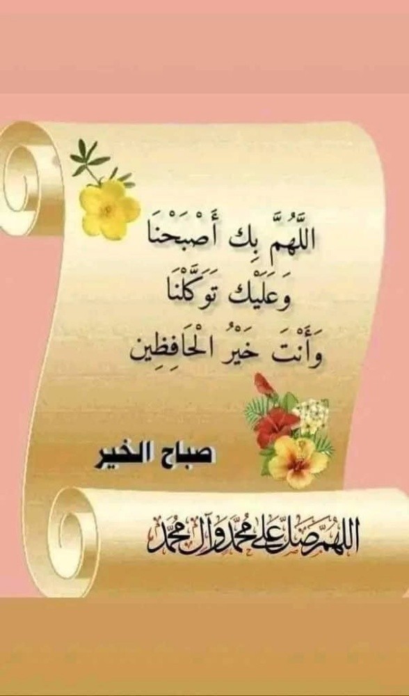 سائق مصري - 1