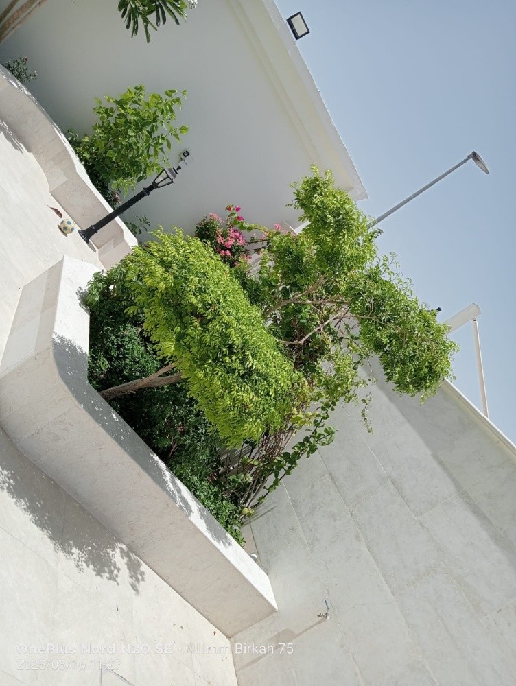 تصميم وزراعة الحدائق - 4
