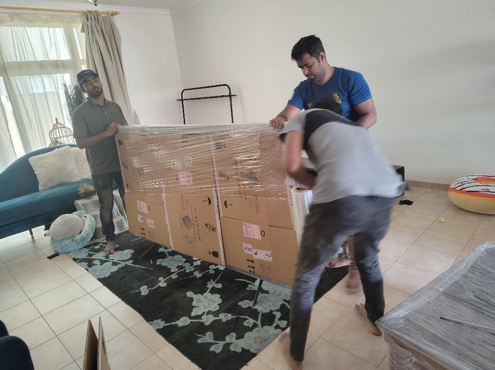 Moving Service and buy Furnitures - 6