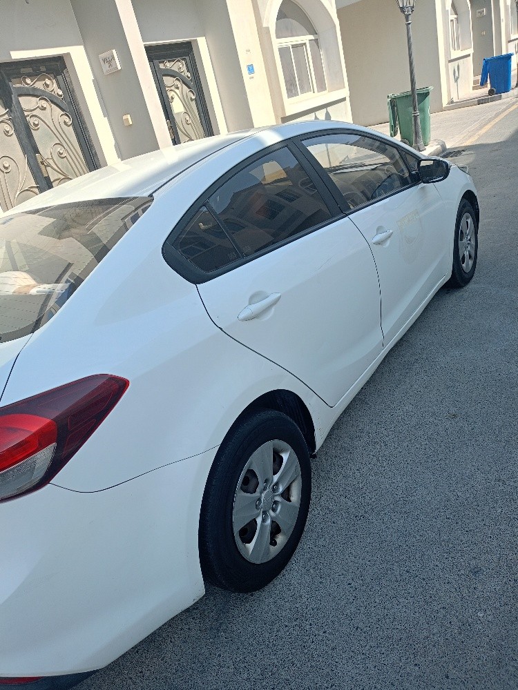 عمار طنون - 1