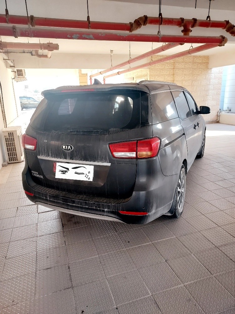 kia grand kernaval - 3