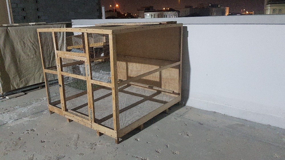 pigeon Cage - 1