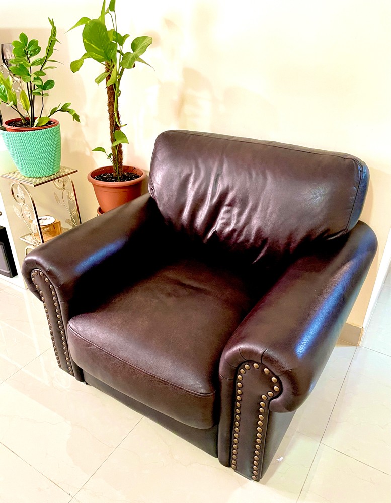 Single Seater Leather Chair - 3