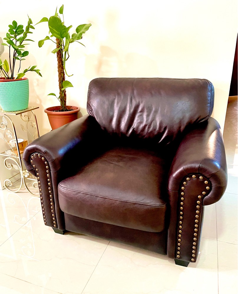 Single Seater Leather Chair - 2