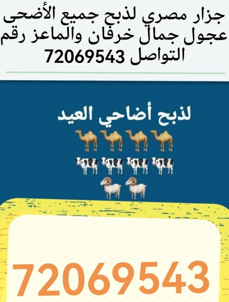 مصطفي جمال - 2