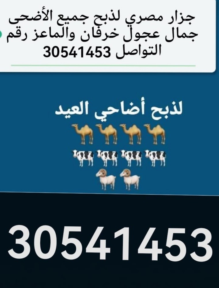 مصطفي جمال - 3
