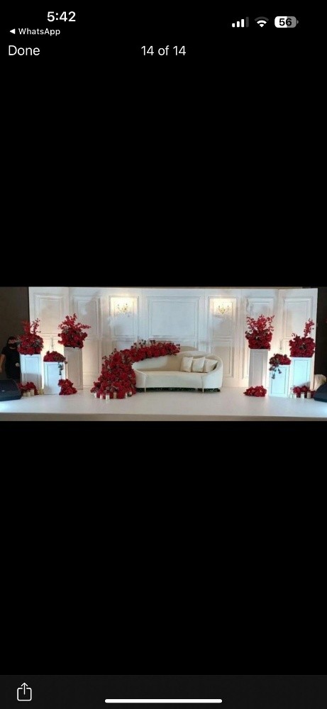 The wedding canopy of your dreams - 14