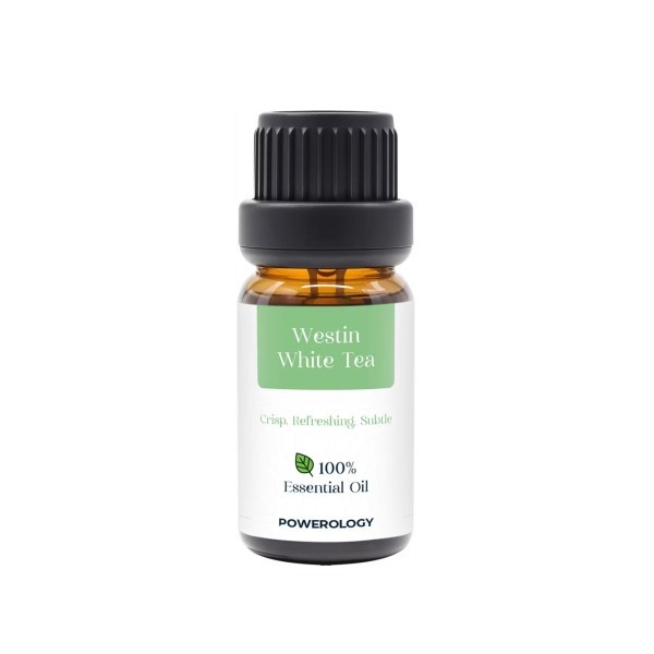 Powerology Fragrance Oil Set 10mL - 3
