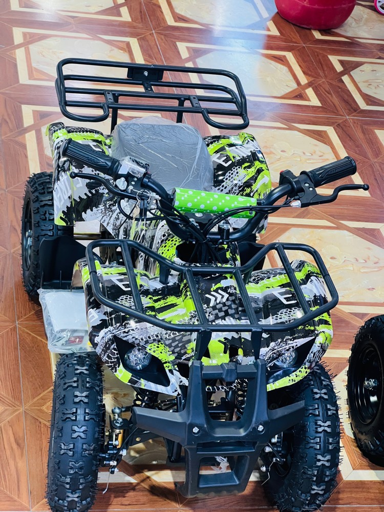 Electric Budbuda - 1