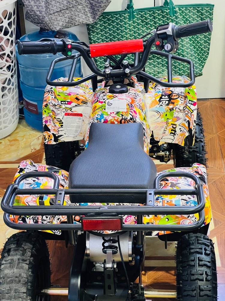 Electric Budbuda - 3