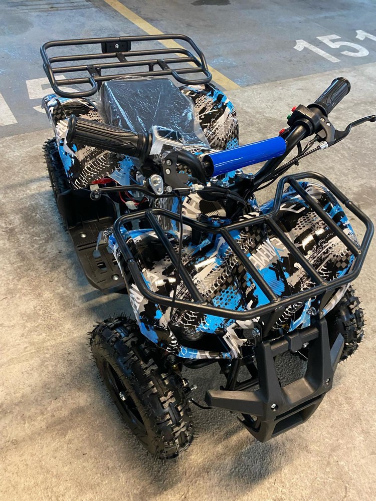 Electric Budbuda - 4