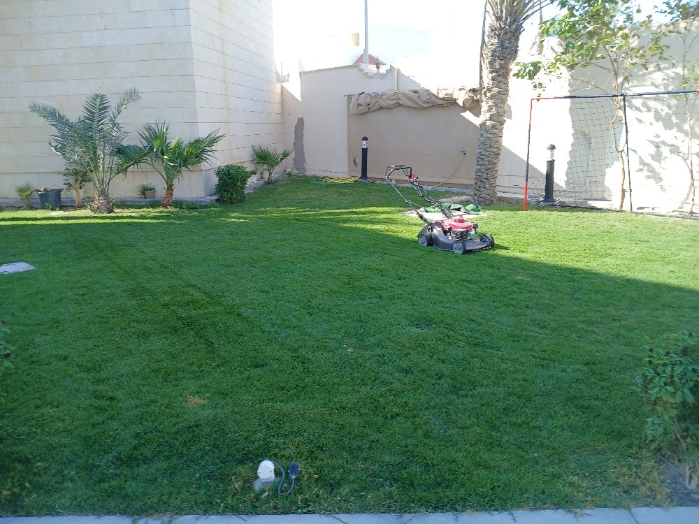مزارع - 2