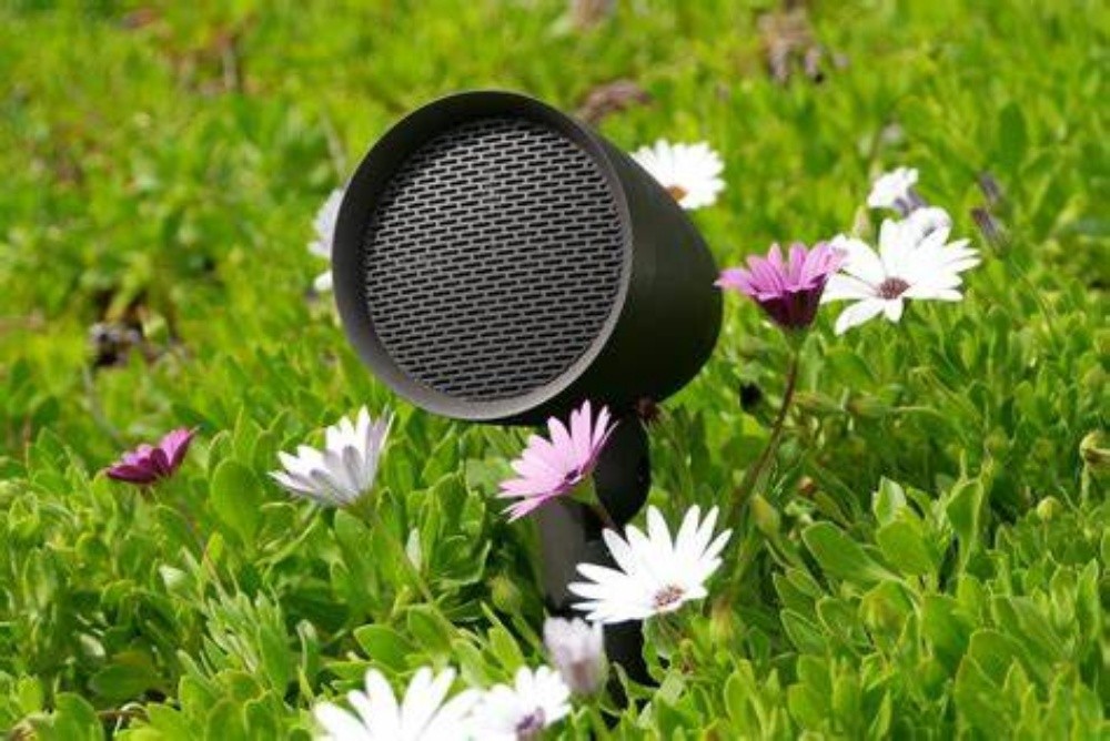 sonanch Home automation speaker - 1