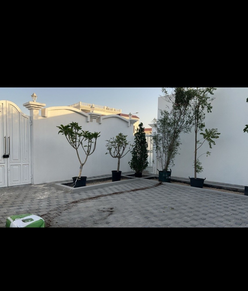 اشجار - 1