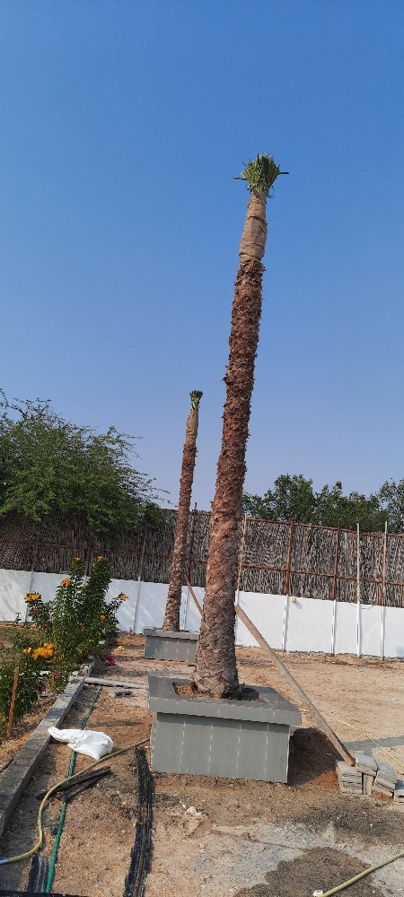 زراعة الحدائق وعمل شبكات الري - 6