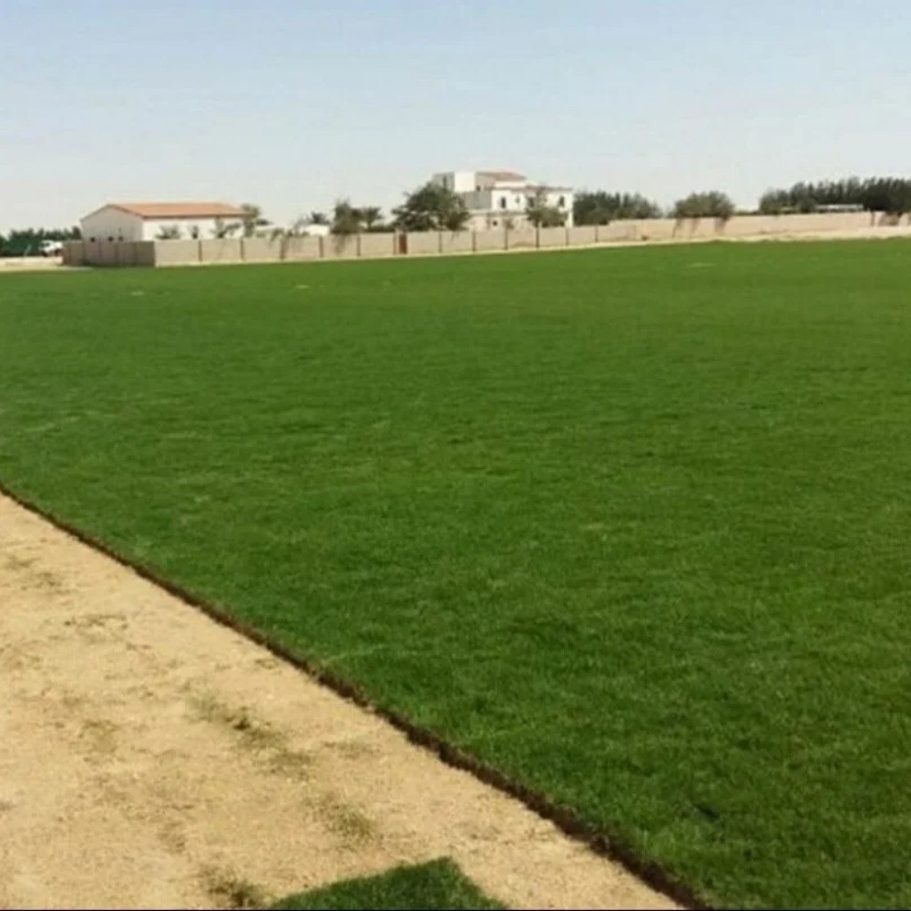 زراعة الحدائق وعمل شبكات الري - 2