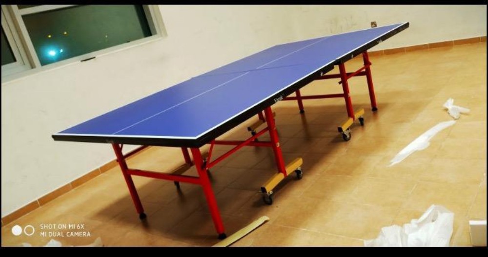 Tennis Table  - 2