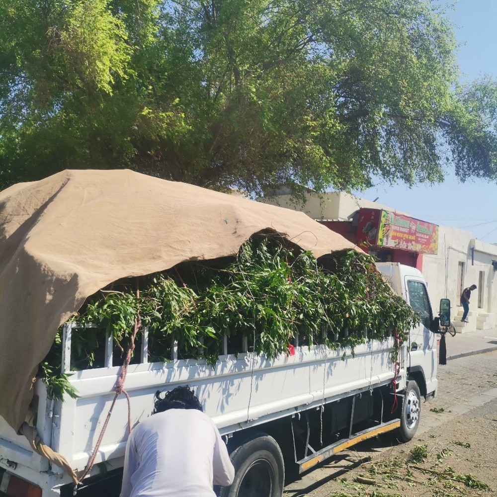 i have 3 ton pick up for working - 14