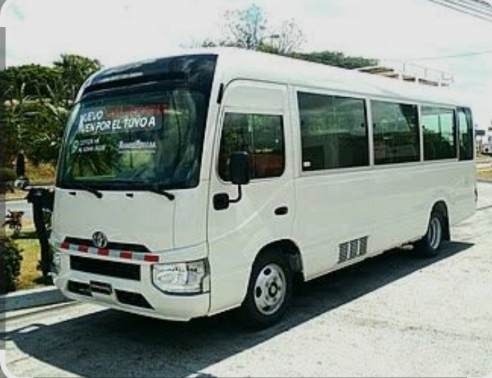coster bus - 2