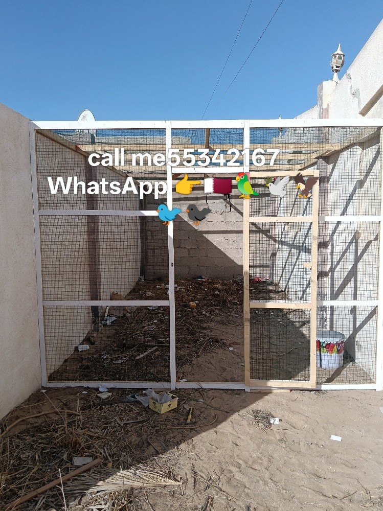 call me WhatsApp cat house no - 23