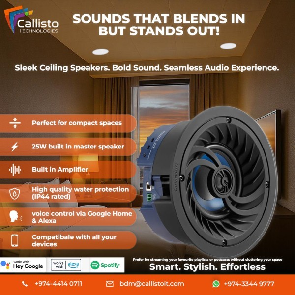 Litheaudio Ceiling Speakers - 5